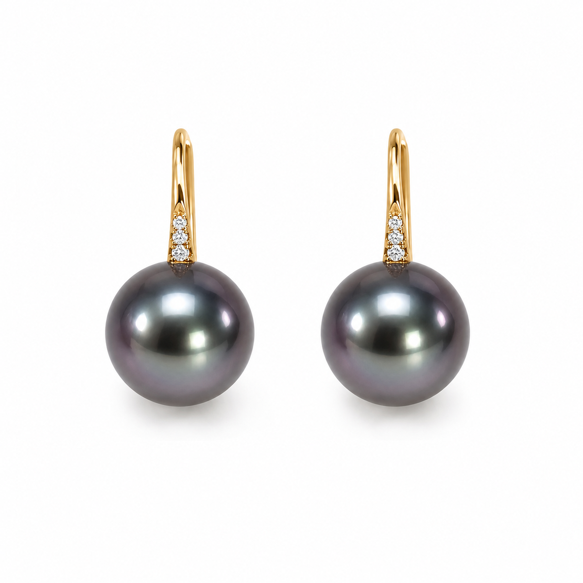 Tahitian Grace Black Pearl  Earrings